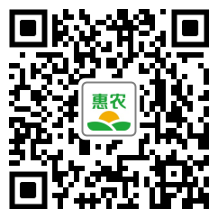 高端海产干品渠道商