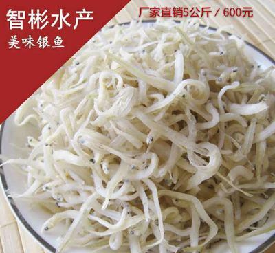 【智彬海产银鱼干批发 野生淡水鱼干 海蜒干厂家批发5kg散装】价格_厂家_图片 -