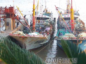 中国广播网 浙江渔民冬汛生产忙 节日海产品供应丰富