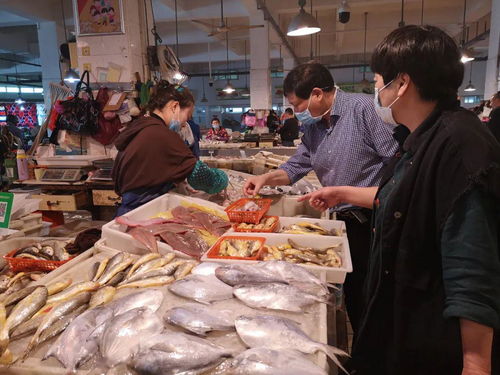 禁渔期第一天,舟山市面海产品价格如何 记者探访后发现...