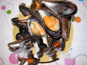 辽宁淡菜 辽宁淡菜的介绍 辽宁淡菜的图片