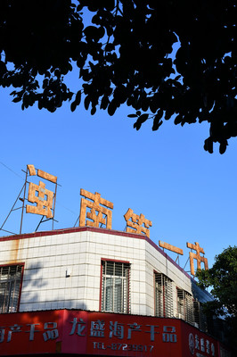 张子玲419