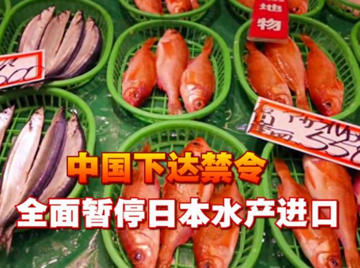 太恶毒 挪威进口日本产三文鱼海产品,重新打标签后发往中国