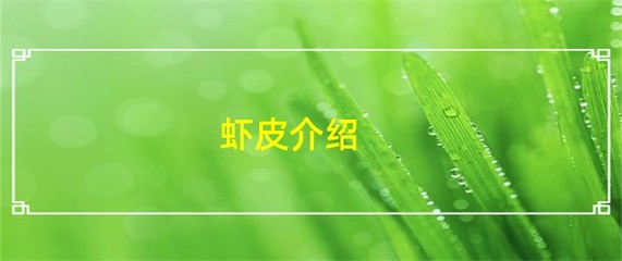 虾皮介绍
