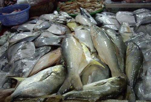 常吃海产品有什么好处 海产品的营养价值与功效