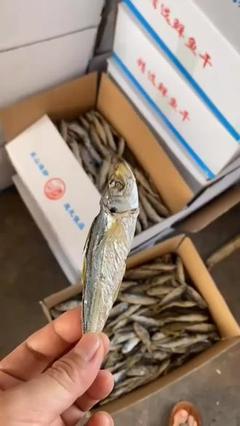 开强海产干品 品质与传统的完美融合