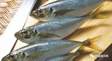 海南过冬，菜市场买海鲜必懂的海鱼与海产干品