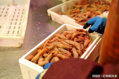 元旦假期青岛海产品供需两旺，价格稳定品质优