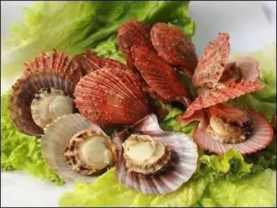 美洲岩扇贝 大连餐桌上的新宠海产干品