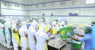 本财年印度海产品出口量下降7%，海产干品市场承压