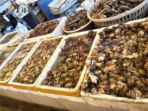 走,年前再去趟日照的海鲜市场 价格上涨,除了这两样 海产干品